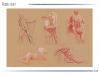 book-anim-2013_4