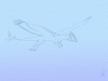 Animation-dragon